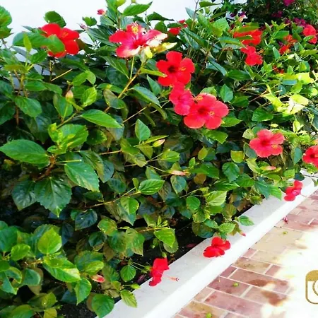 Sleeps 2 Pool Wifi Appartement